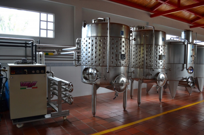 cave-COURMES-min_wine_production_cantine_winery_drink_alcohol_vine_beverage-902036